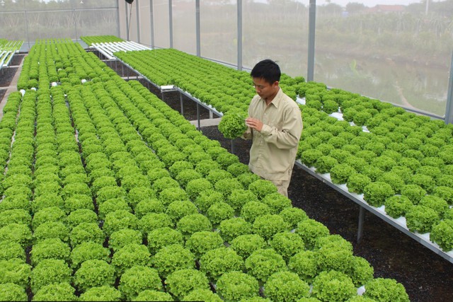 Phát động giải báo chí viết về “nông nghiệp, nông dân, nông thôn”